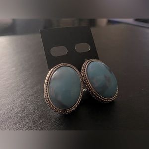 Large oval turquoise earrings